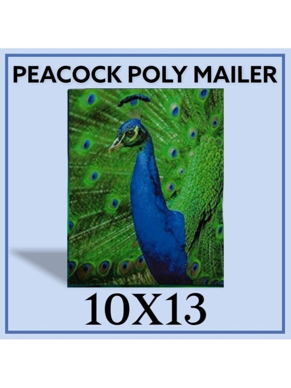 25 10X13 Poly Mailers Royal Peacock PRICE IS FIRM - Picture 10 of 13